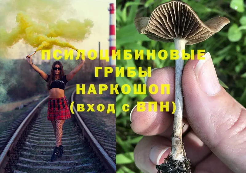 Галлюциногенные грибы Magic Shrooms  Балахна 